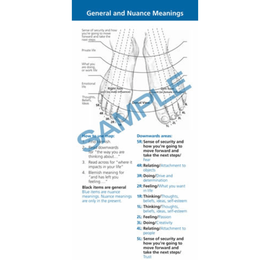 The Foot Reading Coach by Jane Sheehan - Flying Wild