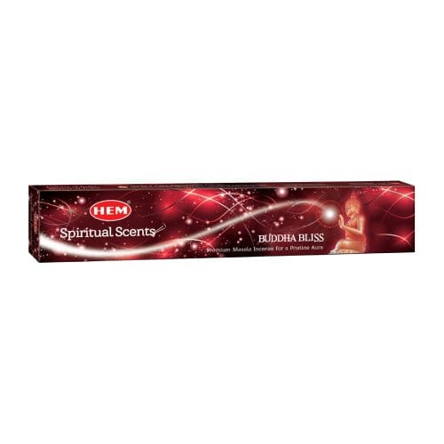 Buddha Bliss Masala Incense Sticks by HEM - Flying Wild