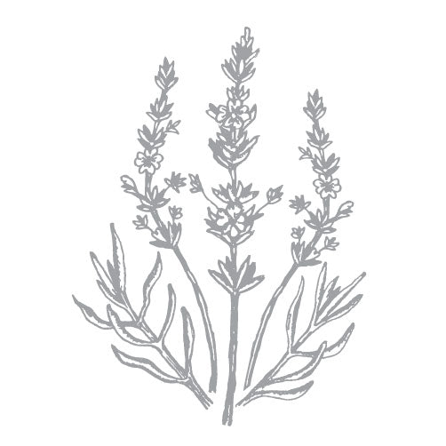 Lavender Organic Essential Oil from Greece 15ml - Flying Wild