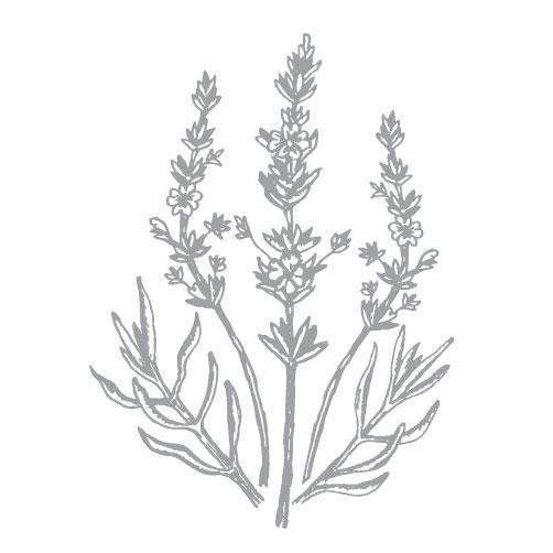 Reflexology Balm Lavender - Flying Wild