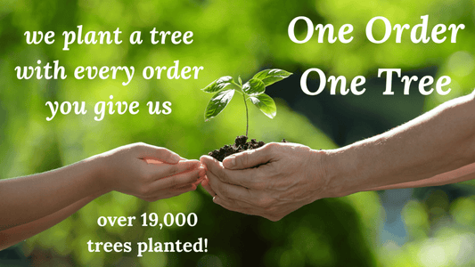 Together We Have Planted 19,000 Trees!! - Flying Wild