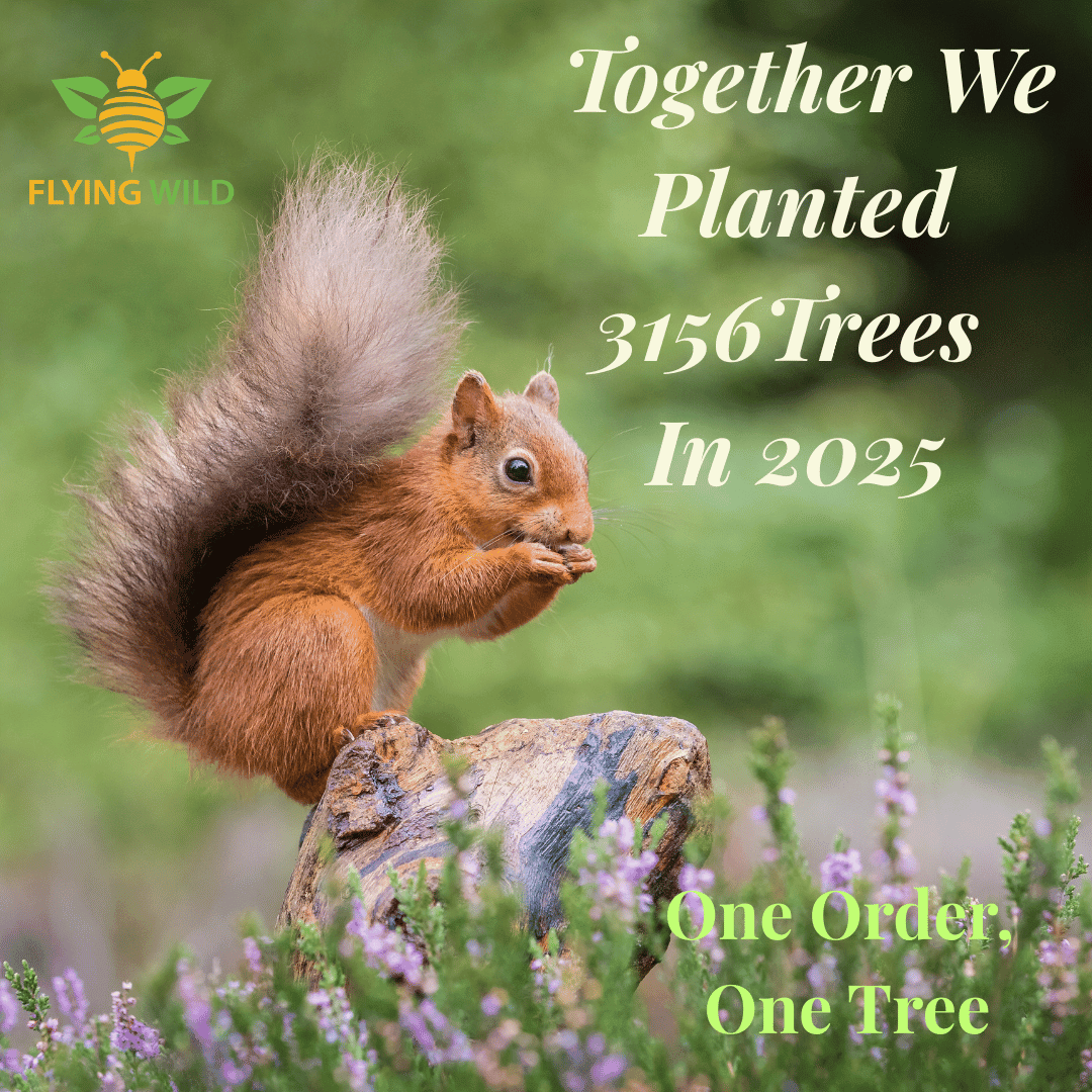 Together We Planted 3156 Trees in 2025 - Flying Wild