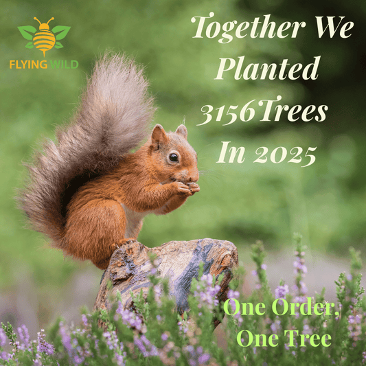 Together We Planted 3156 Trees in 2025 - Flying Wild