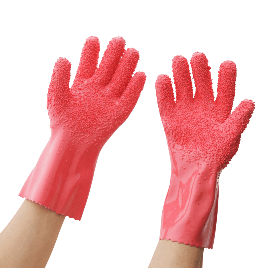 Dishwashing - Flying Wild