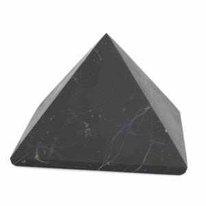 Shungite - Flying Wild