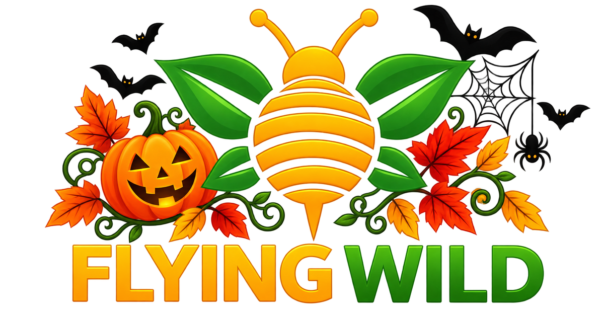 Zone Face Lift – Flying Wild.ie
