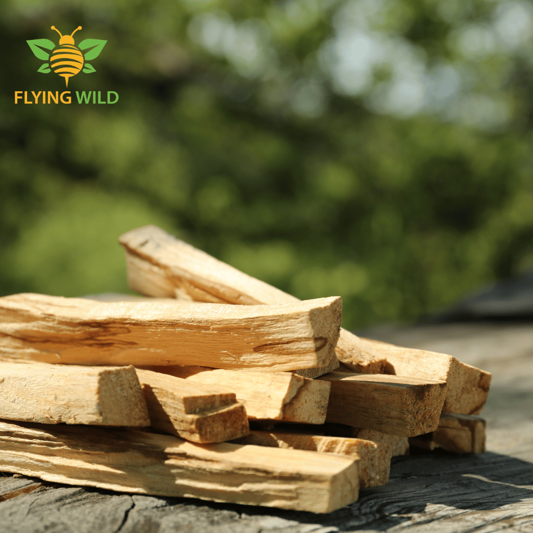 Palo Santo Sticks Bundle - Flying Wild