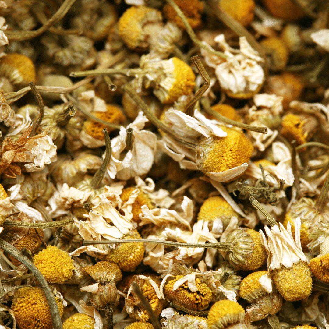 Chamomile Infused Organic Oil - Flying Wild