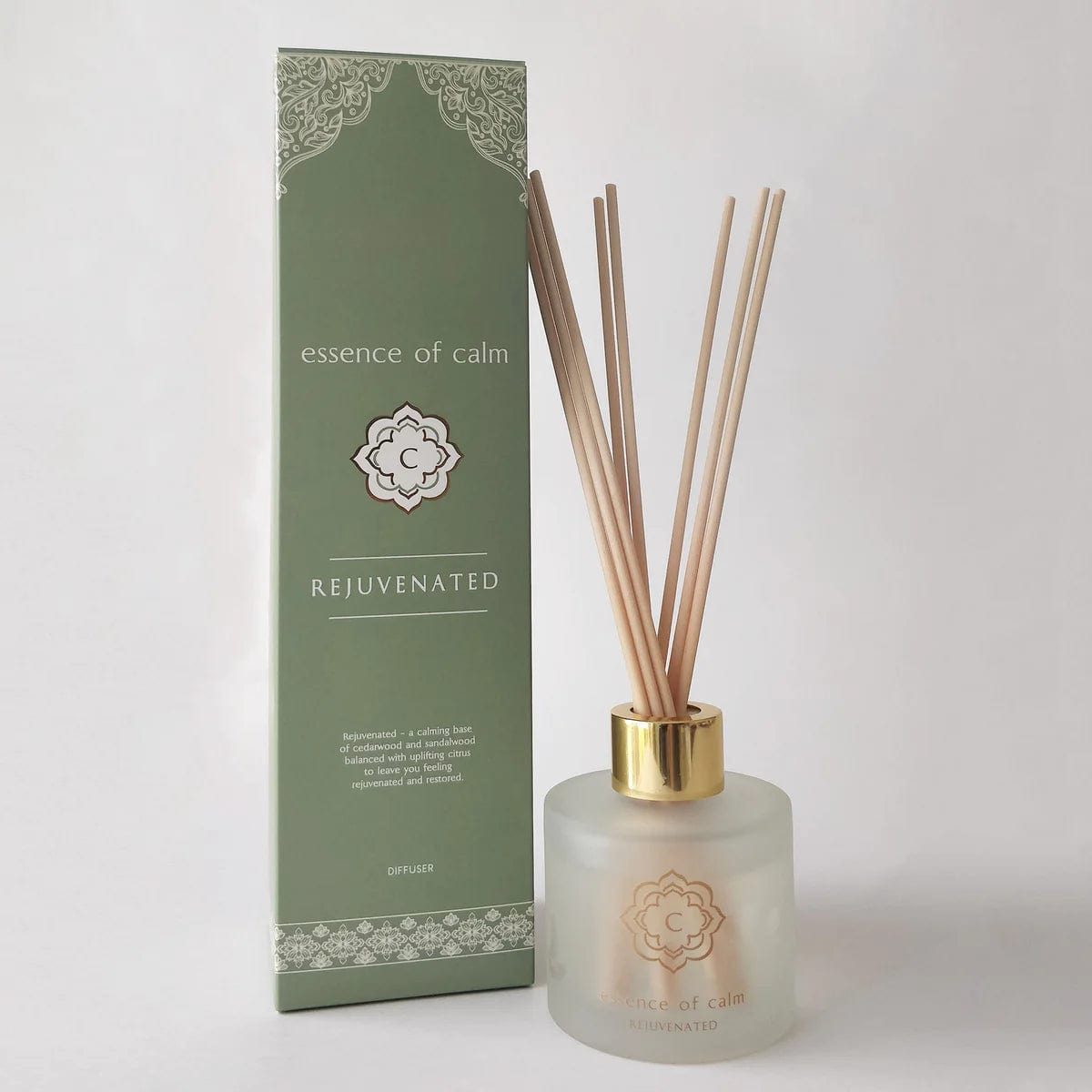 Rejuvenated Reed Diffuser - Flying Wild